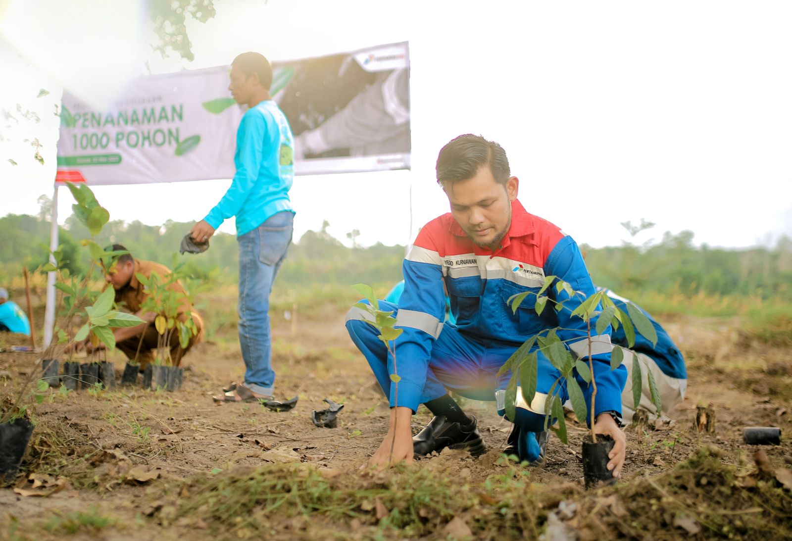 Peringati Hari Keanekaragaman Hayati Pertagas Tanam 1.000 Pohon di Dumai