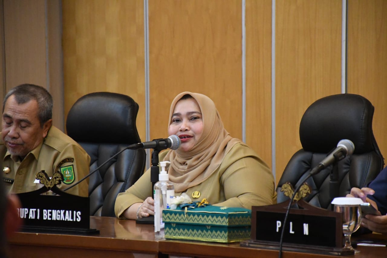 Bupati Kasmarni Sambut Baik Investor yang Akan Bangun PLTS 1.500 M Watt di Kabupaten Bengkalis, Nilainya Capai Rp 18 Triliun