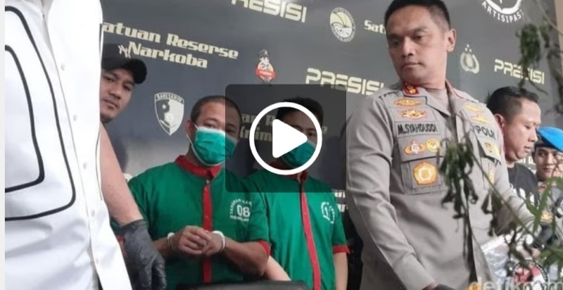 Tanam Ganja di Rumah, Inilah Detik-detik Penangkapan Pesulap Oge Arthemus