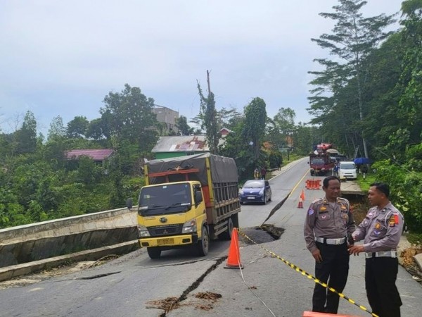 Greenpeace Desak Pemerintah Stop Sementara Pembangunan IKN