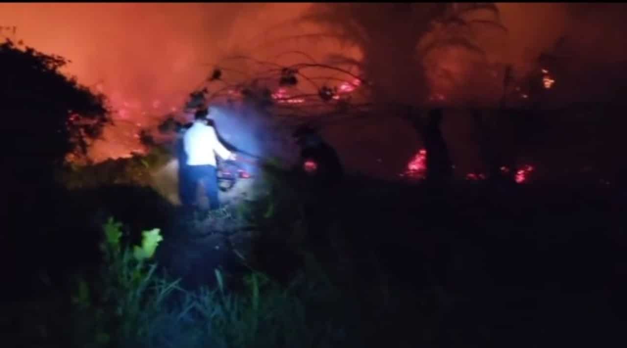 Satu Hektare Lahan Hutan Lindung Terbakar, Damkar Dumai Gerak Cepat Padamkan Api